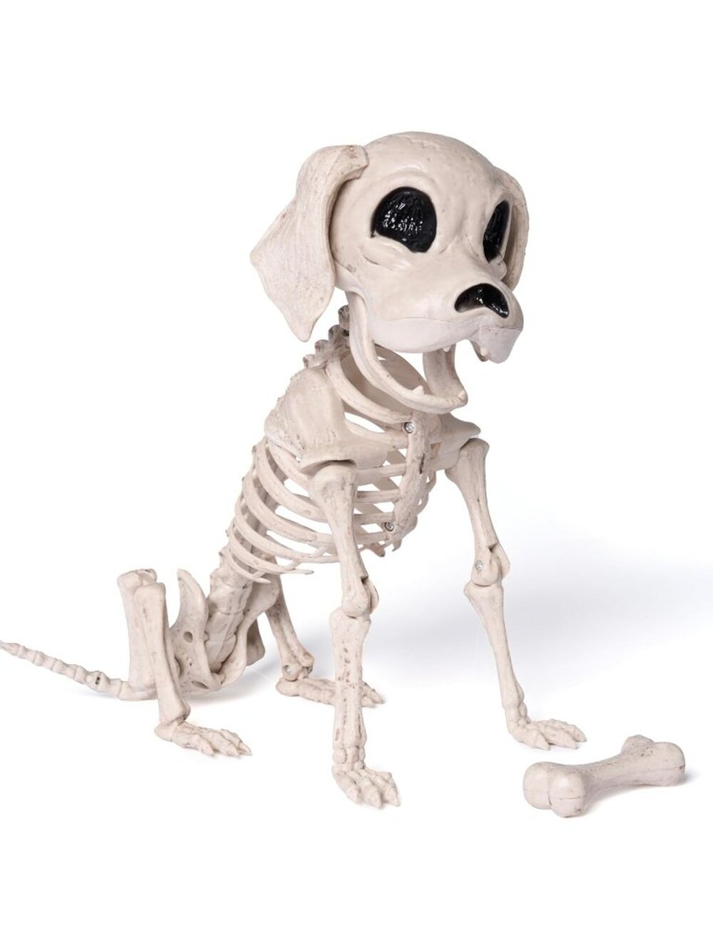Posable Halloween Dog Skeleton Full Body Posable Joints Realistic Skeleton